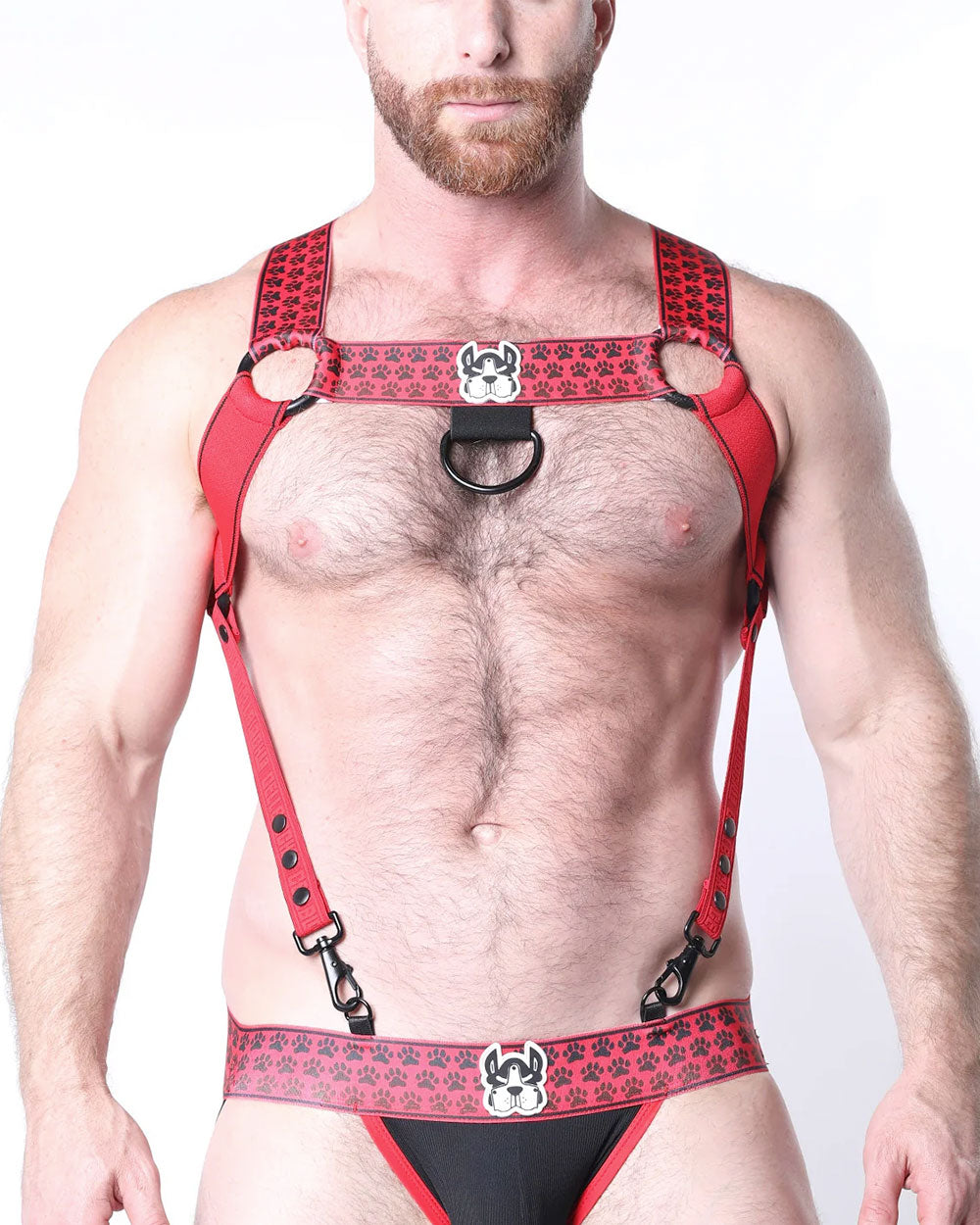 Muzzle Up Elastic Harness