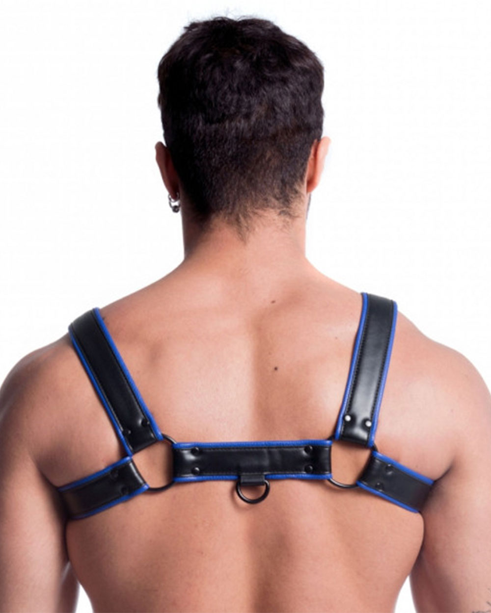 Vegan Bulldog Harness - Black and Blue