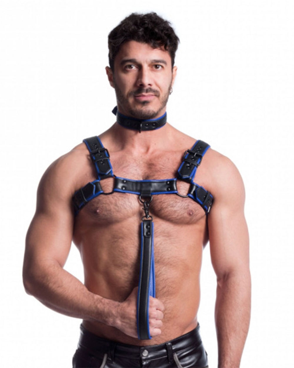 Vegan Bulldog Harness - Black and Blue