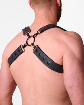 Scorpion Infinity Harness