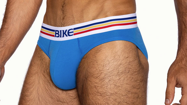 Briefs